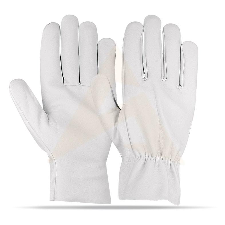 Driving Gloves